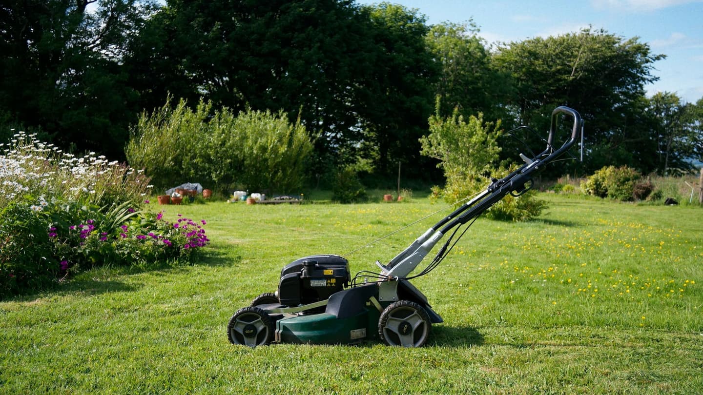 Walk-behind mower on a residential lawn